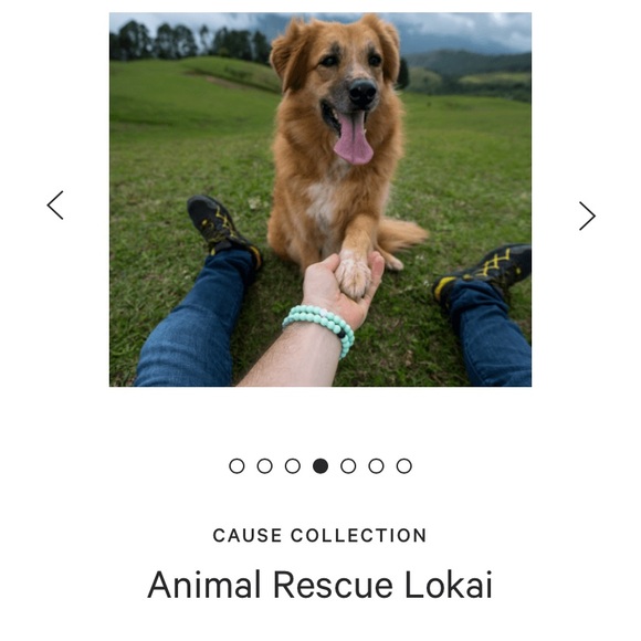Animal Rescue Lokai - Picture 7 of 10